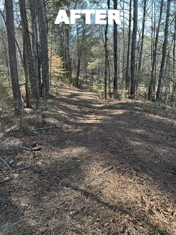 Same wooded path cleared after tire removal