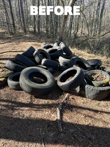 Pile of dumped tires on wooded private property before removal
